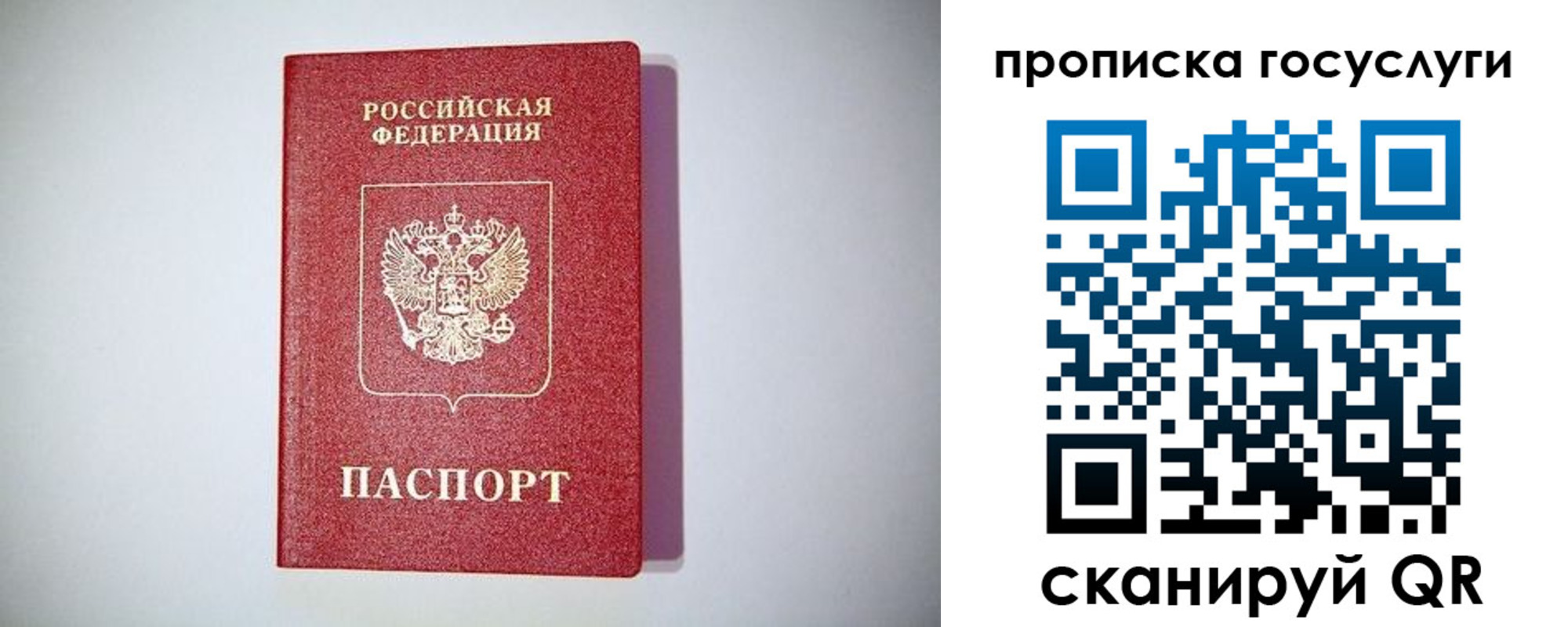 временная регистрация госуслуги в Свободном